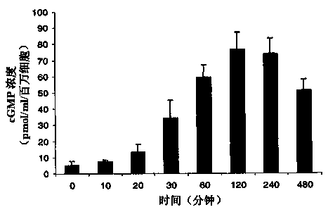 Natriuretic peptide, as well as gene and use thereof