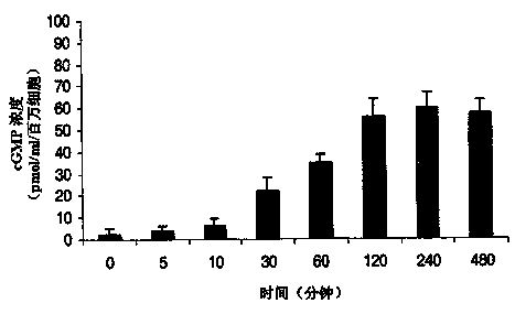 Natriuretic peptide, as well as gene and use thereof