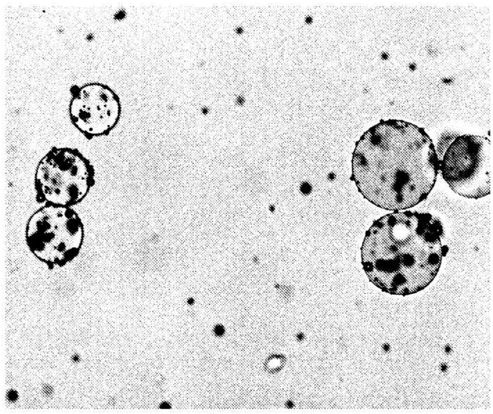 New process and system for magnetic separation