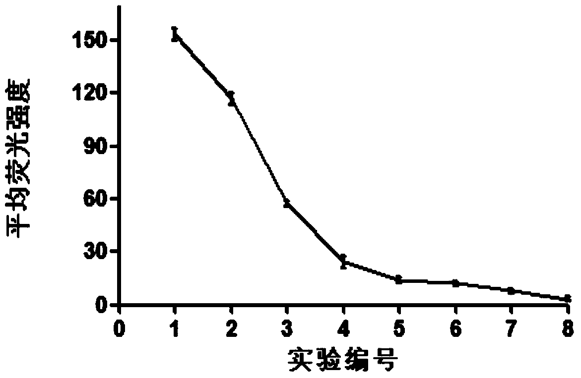 A kind of polypeptide and nucleic acid coupling compound for targeted therapy