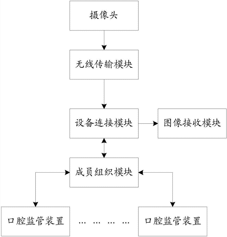 Oral hygiene maintenance regulatory system