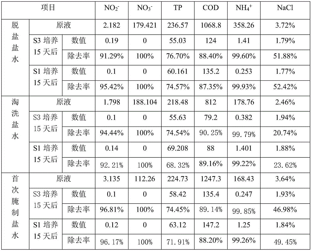 Method for treating low-salt preserved Szechuan pickle processing wastewater by cultivating Spirulina