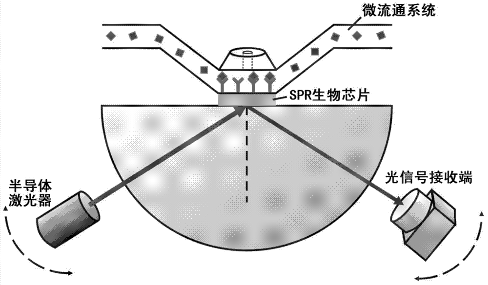 Surface plasma resonance immunosense chip as well as preparation method and application thereof