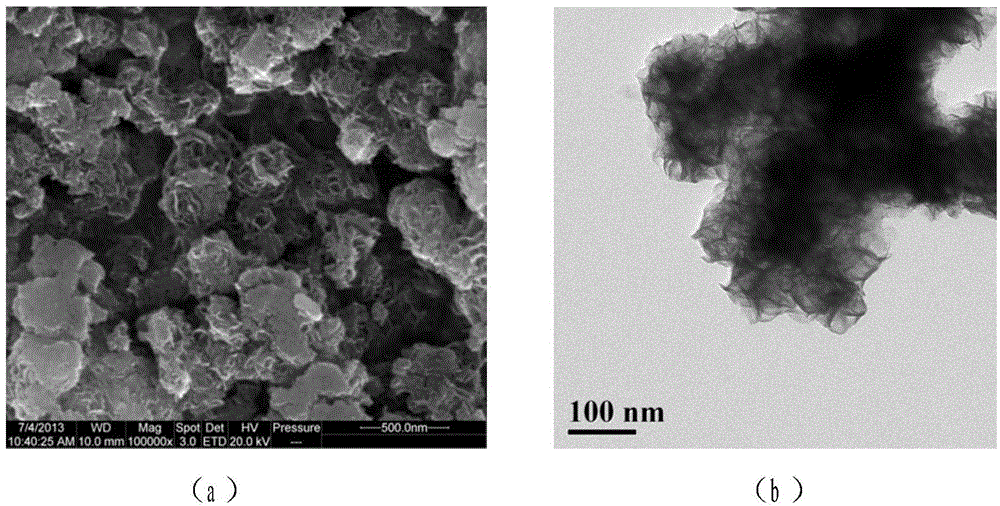 Method for hydro-thermally synthesizing MoS&lt;2&gt; nanoflower with sulfur-containing biological reagent as sulfur source