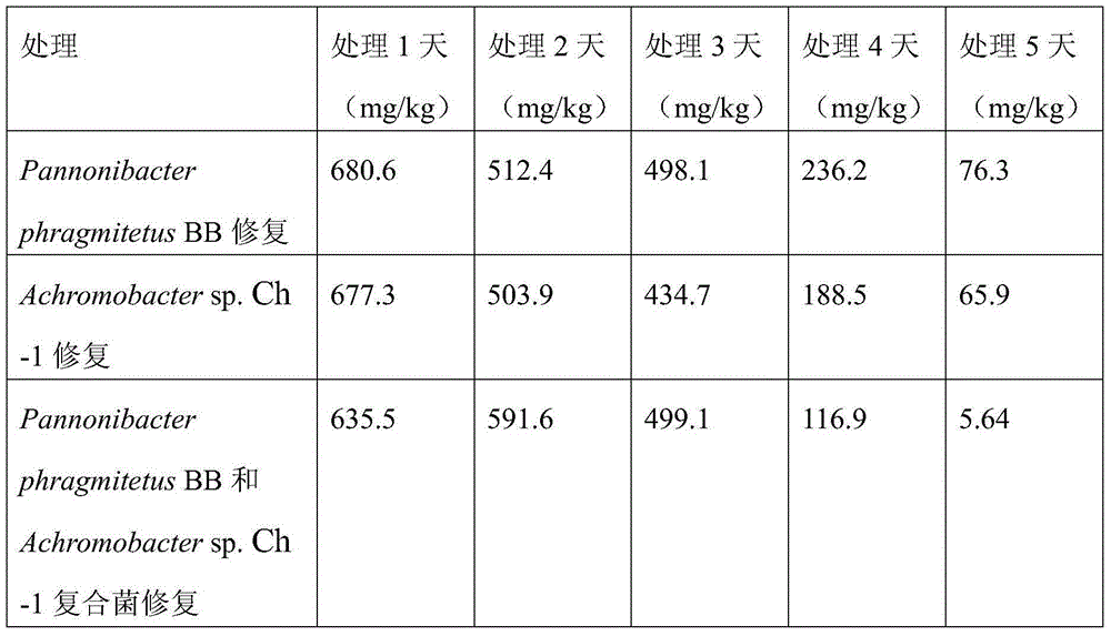 Microbial leaching and chemical fixing joint repairing method for heavily polluted soil of chromium slag yard