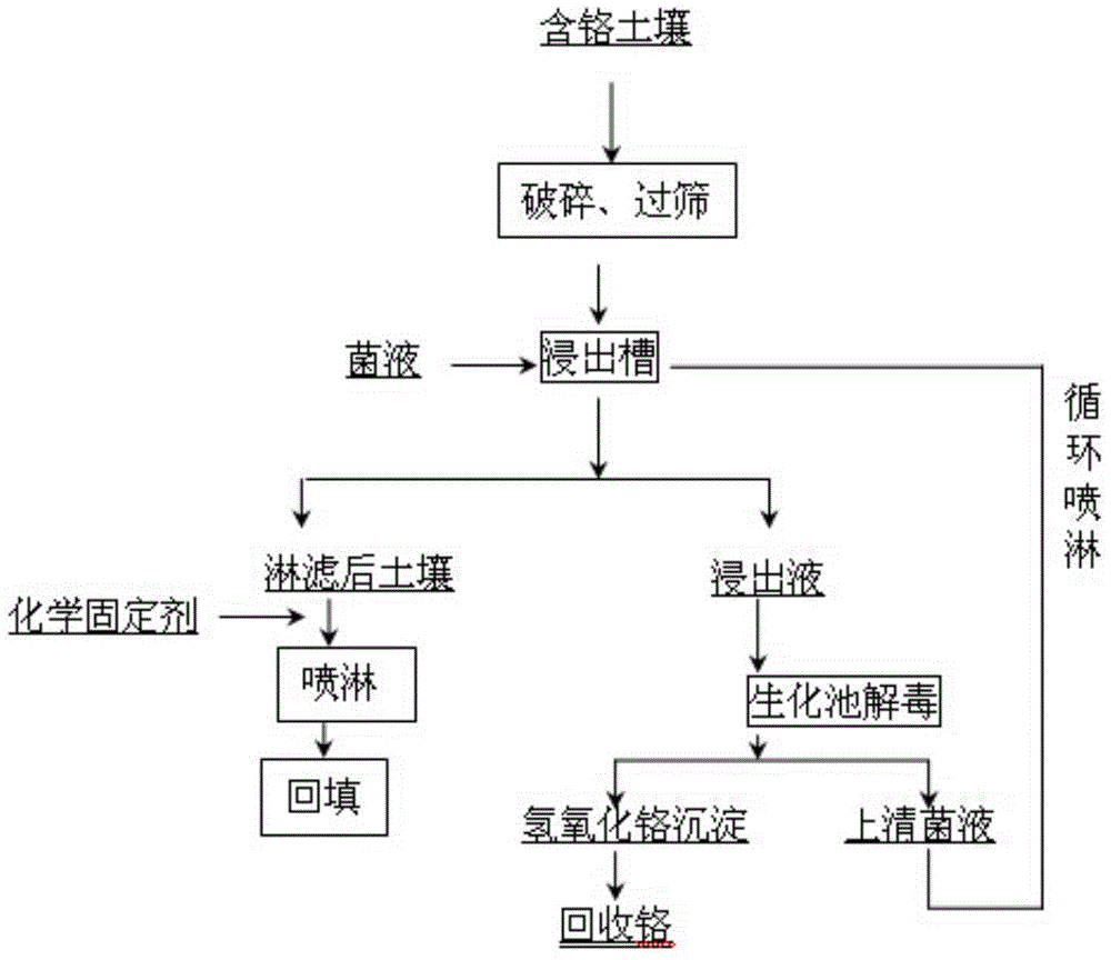 Microbial leaching and chemical fixing joint repairing method for heavily polluted soil of chromium slag yard