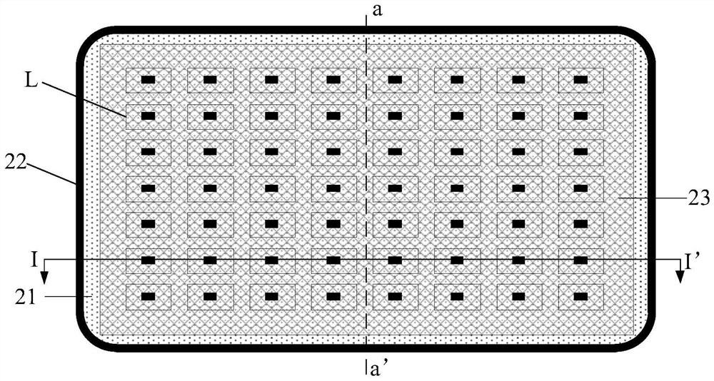 A kind of backlight module and display device