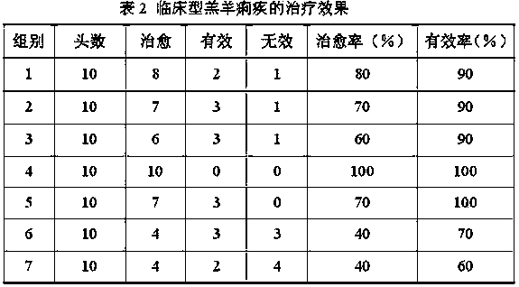 Composite preventing and treating lamb dysentery and application thereof