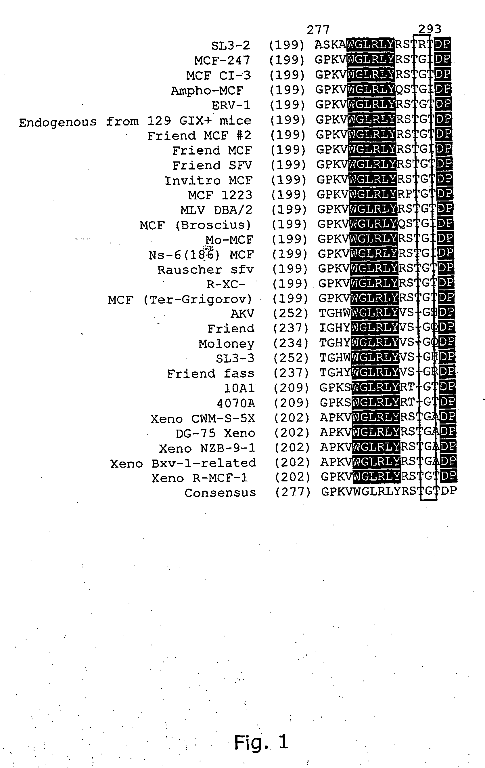 Purified polypeptide, isolated nucleic acids encoding said polypeptide, vectors and use thereof