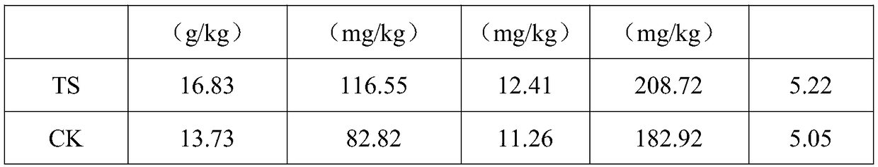 Special biological organic fertilizer for yellow peach as well as preparation method and application thereof