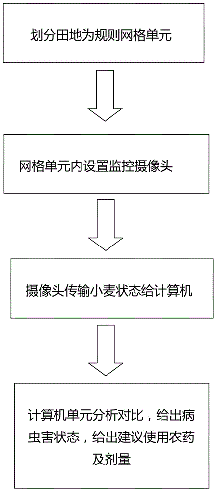 Internet-based wheat pest disease prevention and control method