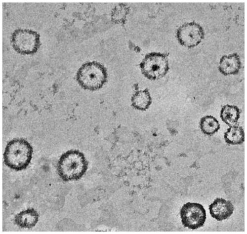 A liposome dispersion loaded with AIE molecules and its preparation method and application