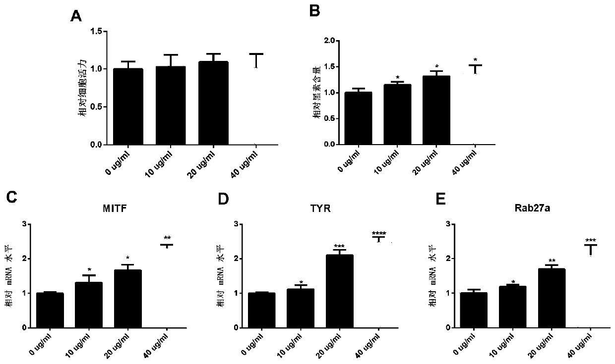 Application of dendrobium officinale polysaccharide in preparation of medicine for treating hypopigmentation skin disease