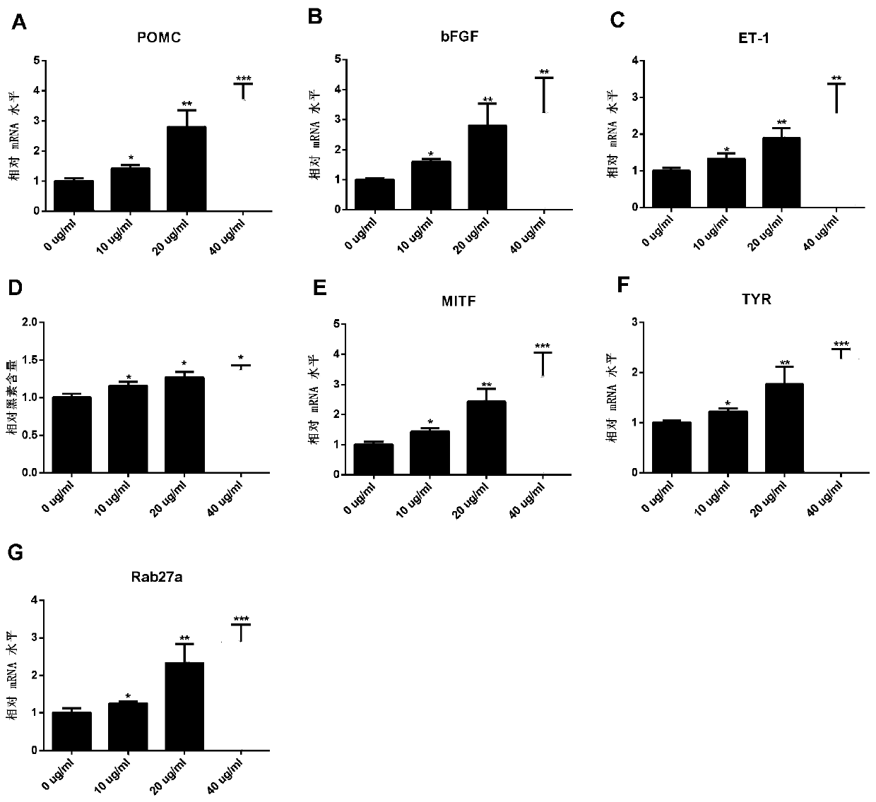 Application of dendrobium officinale polysaccharide in preparation of medicine for treating hypopigmentation skin disease