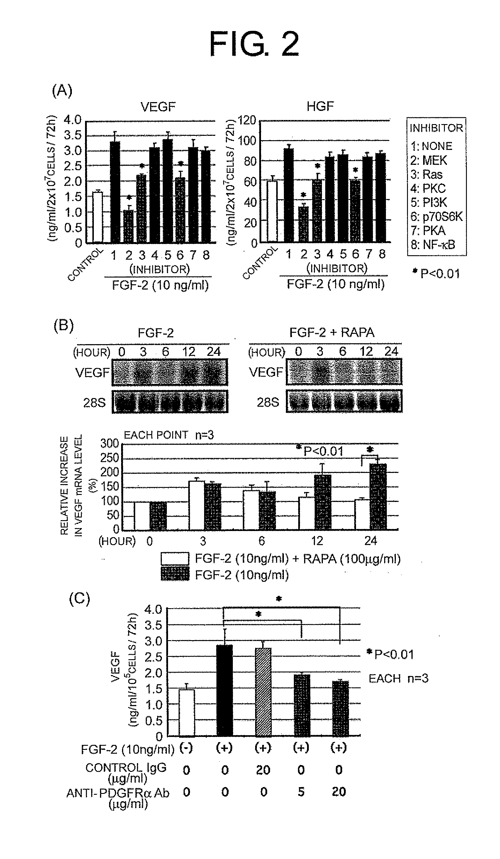 Methods For Suppressing Tumor Proliferation