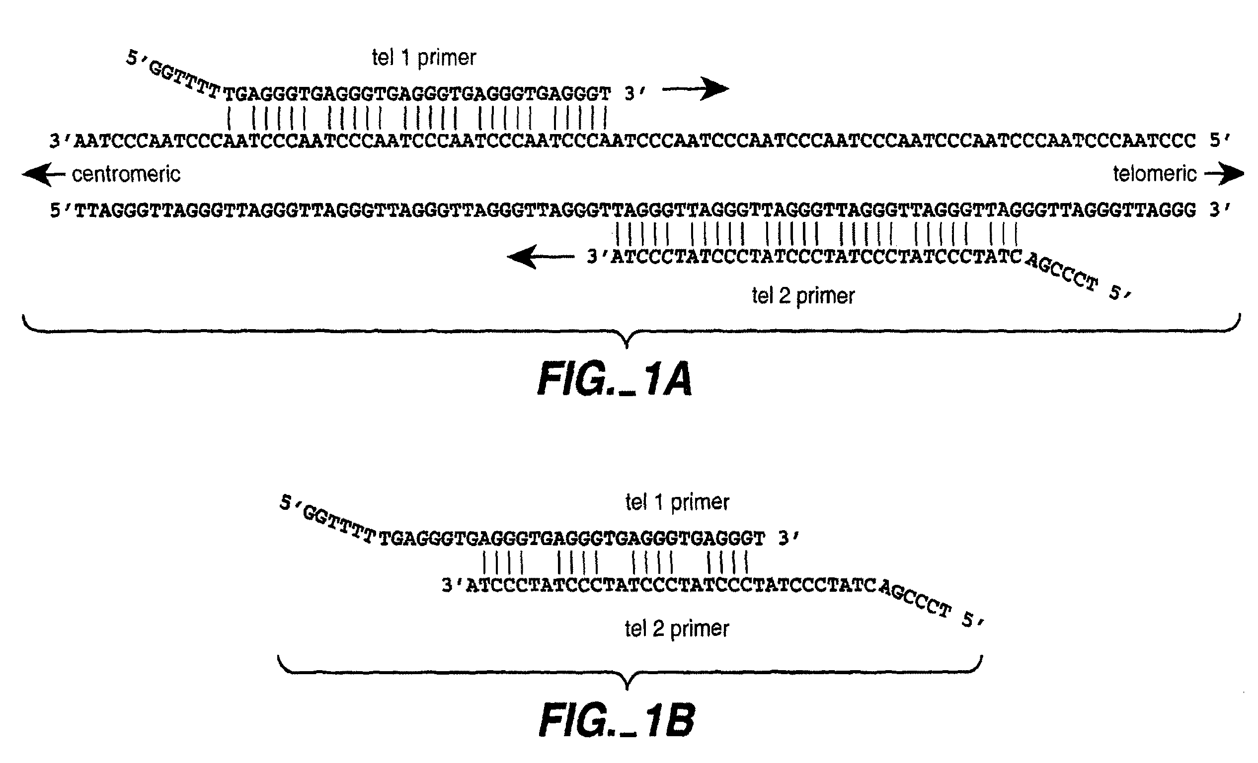 Reducing non-target nucleic acid dependent amplifications: amplifying repetitive nucleic acid sequences