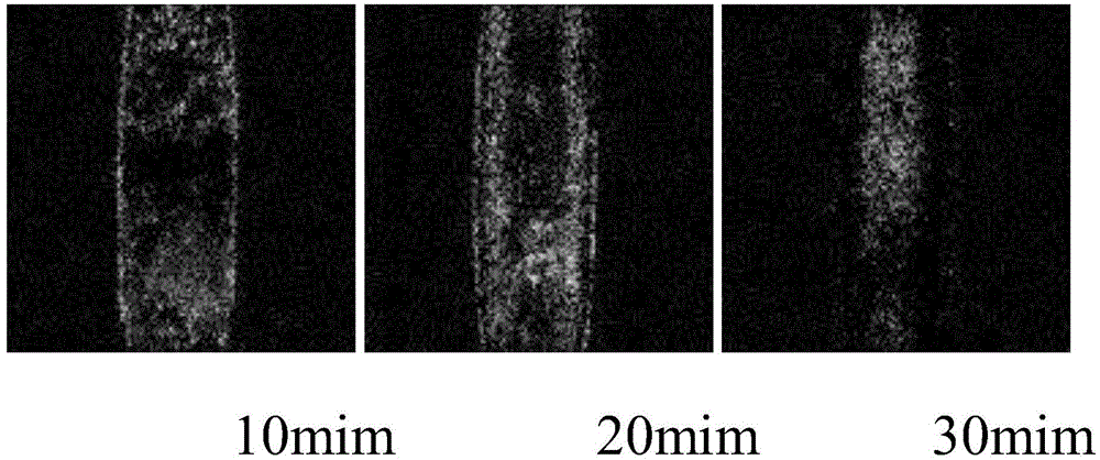 Method for analyzing pore distribution of sediment by virtue of saturation change of gas hydrate