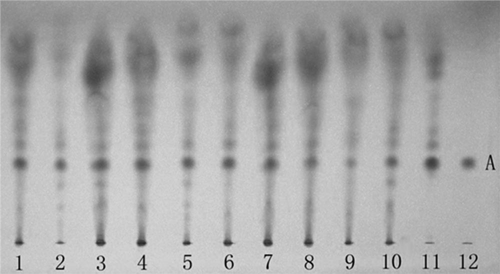 Identification and adulteration inspection methods for component of fruit of Chinese magnoliavine in eyesight-improving pills with stem of noble dendrobium