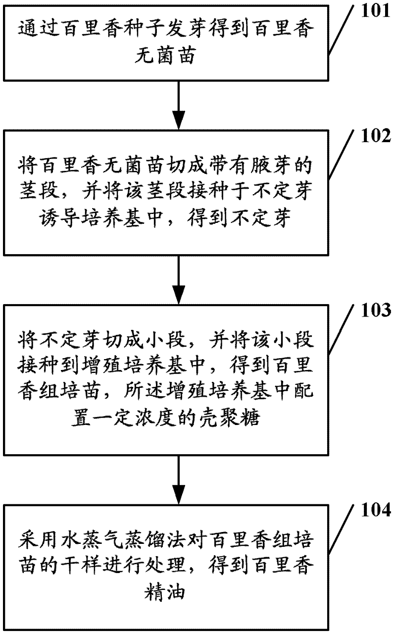 A kind of production method of thyme essential oil