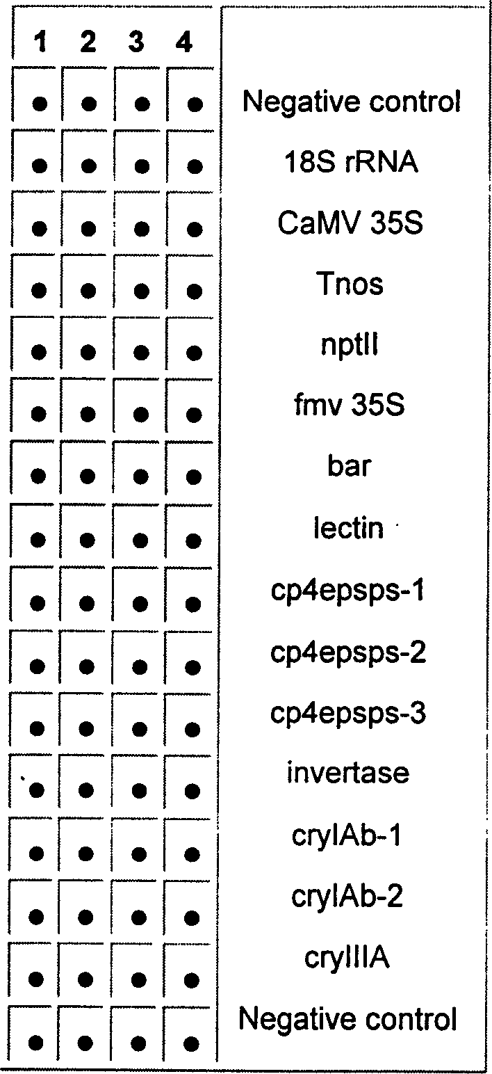 Transgenic product low-density gene chip detecting method