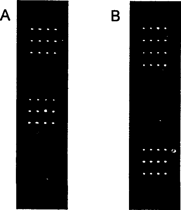 Transgenic product low-density gene chip detecting method