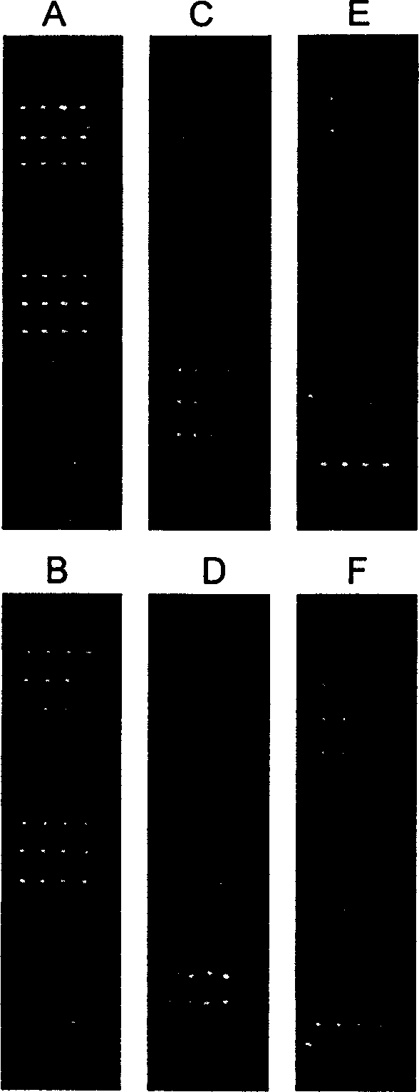 Transgenic product low-density gene chip detecting method