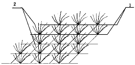 Biological enzyme carrier for ecological remediation of riverbed water and laying method