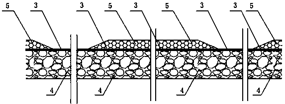 Biological enzyme carrier for ecological remediation of riverbed water and laying method