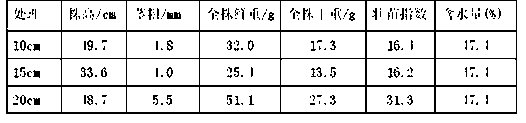 A kind of method of cuttage propagation of Prunus alba