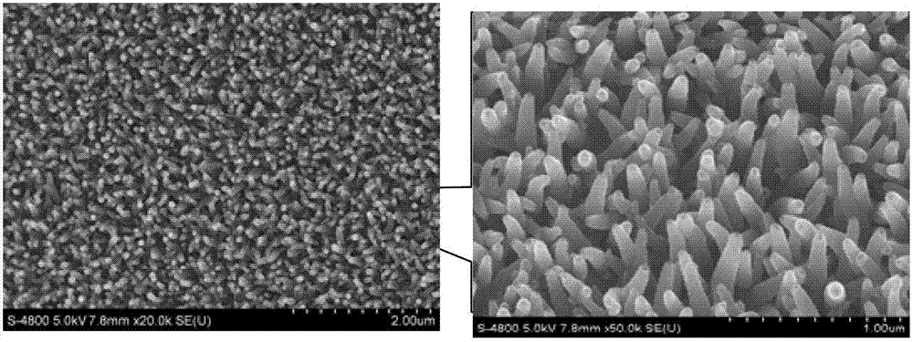 Novel ordering membrane electrode and preparation method and application thereof