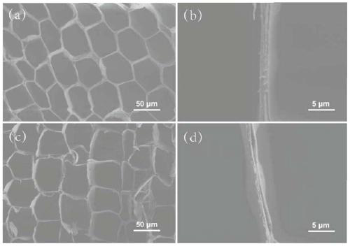 Preparation and application of pH-responsive natural plant oil-water separation filter membrane