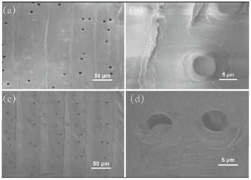 Preparation and application of pH-responsive natural plant oil-water separation filter membrane