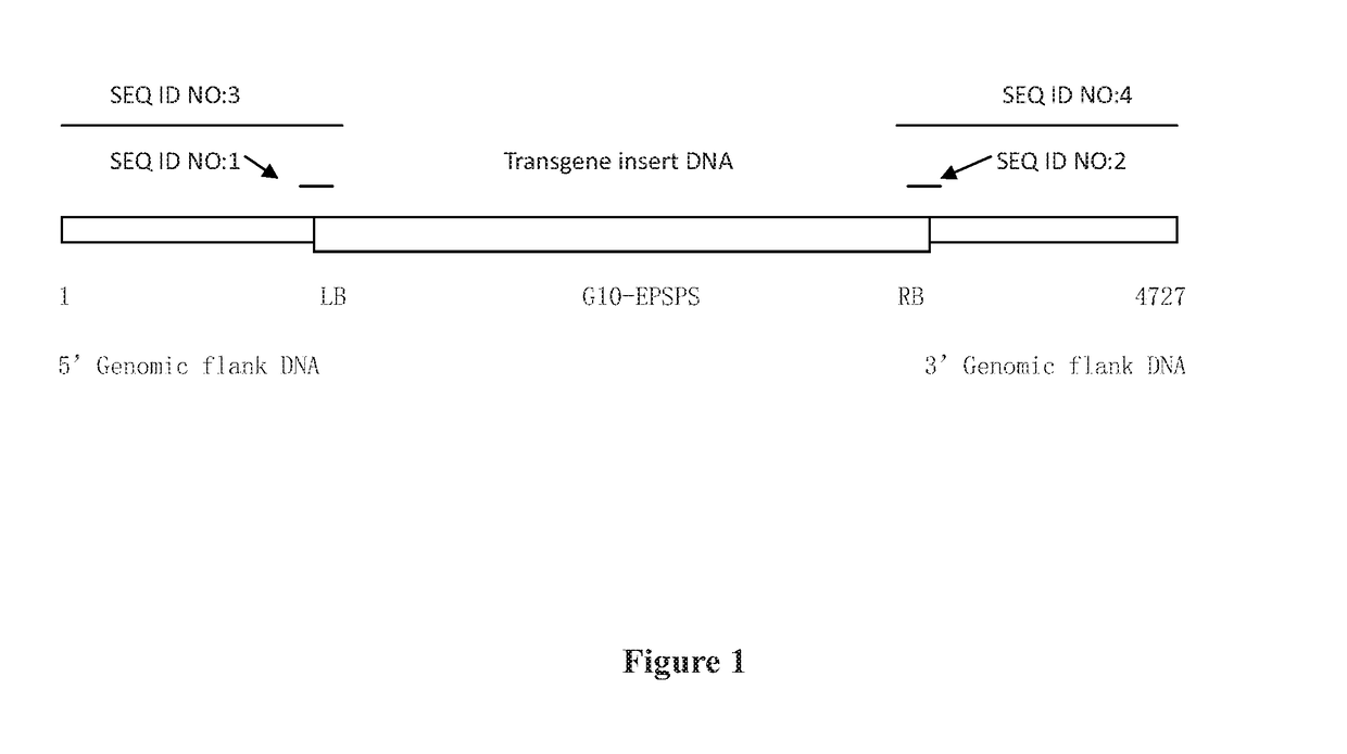 Soybean event shzd32-01 and method of use thereof