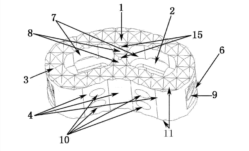 Spinal column fusion device internally lined with reinforced ribs