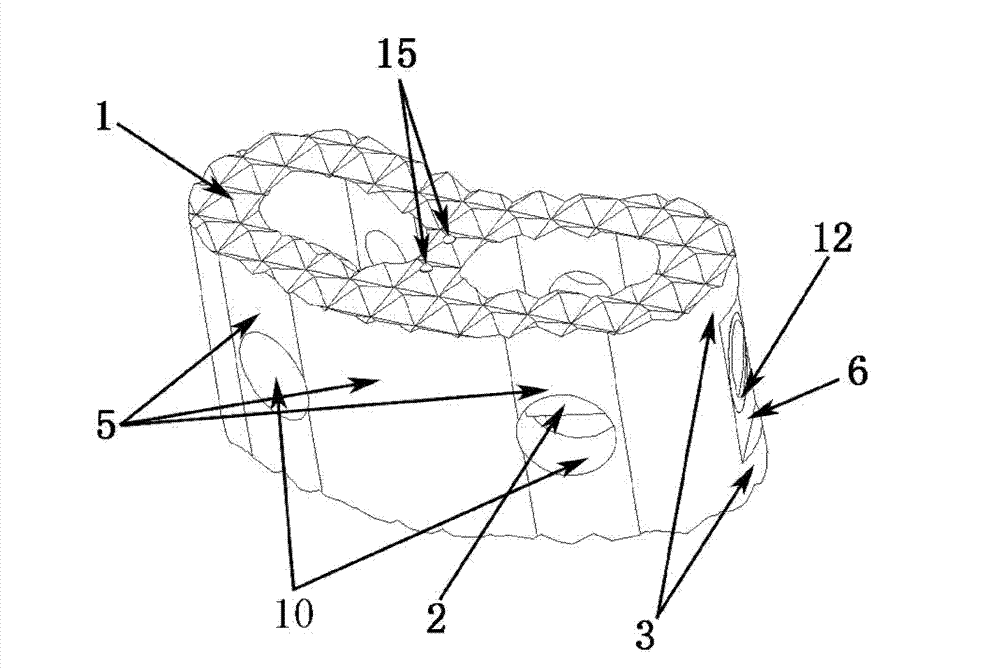 Spinal column fusion device internally lined with reinforced ribs