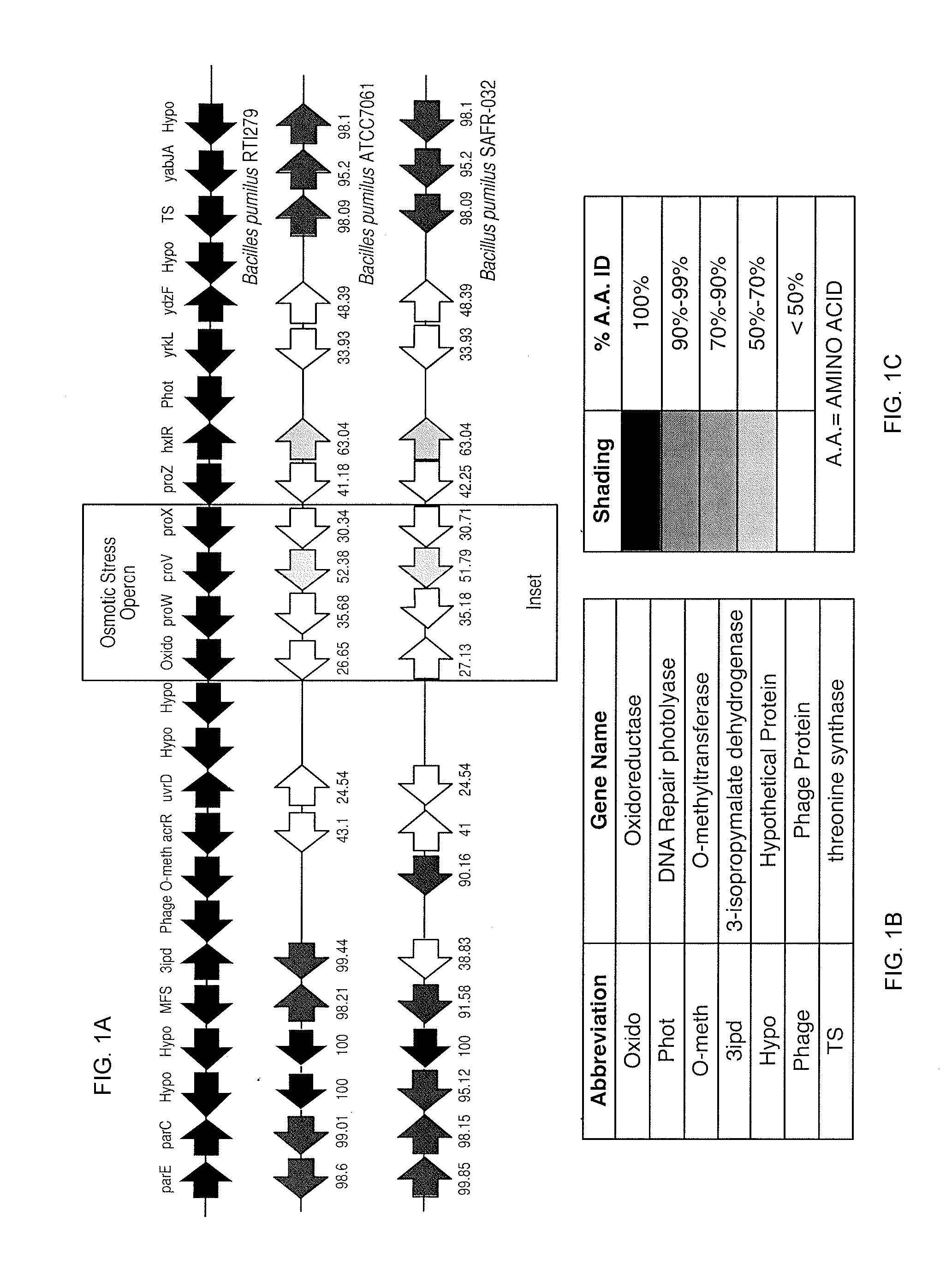 Microbial compositions for use in combination with soil insecticides for benefiting plant growth