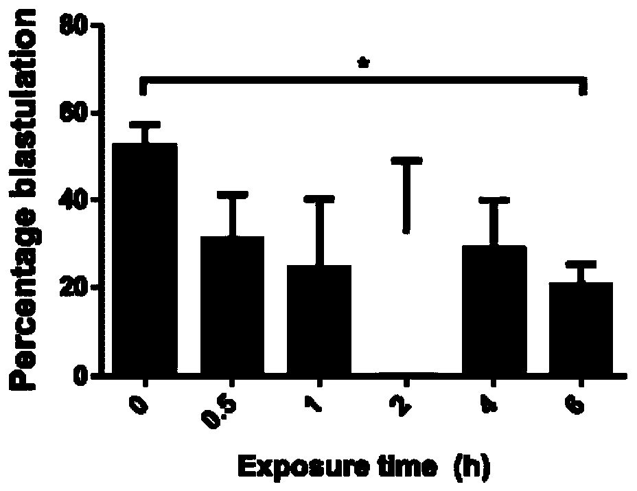 Culture-in-vitro method for mouse early embryo