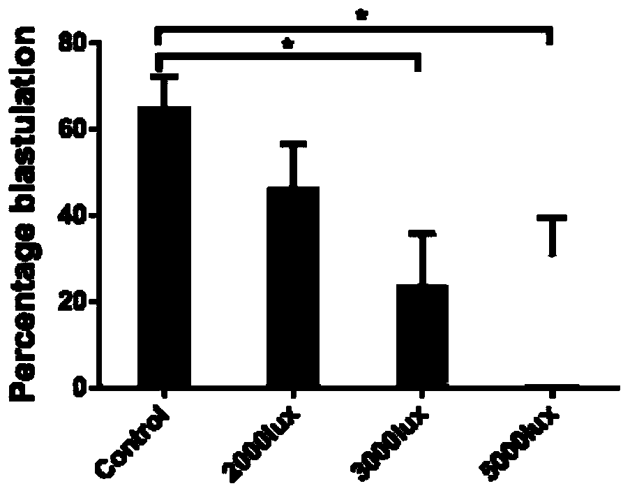 Culture-in-vitro method for mouse early embryo