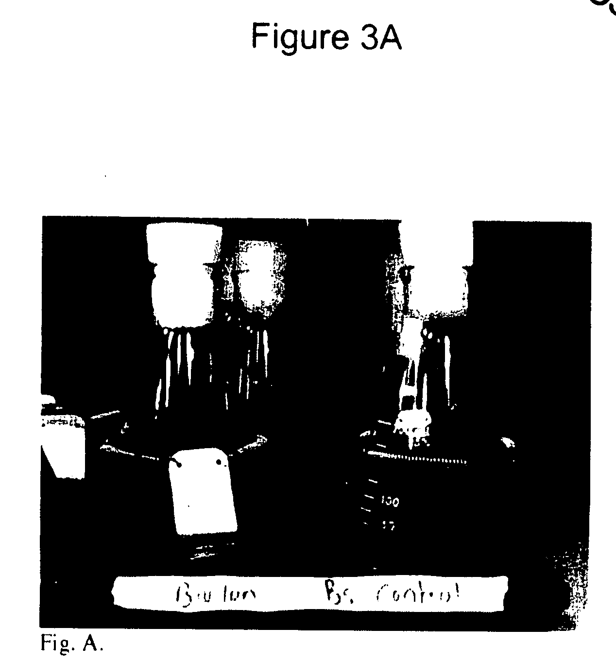 Composition for the control of pathogenic microorganisms and spores