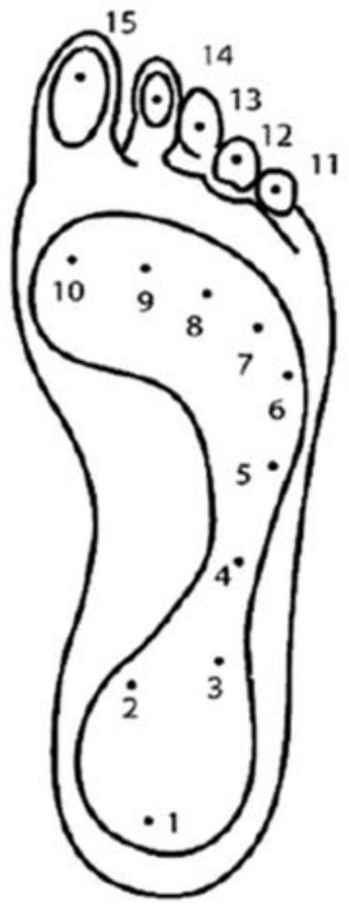 Flexible plantar pressure detection device and shoes