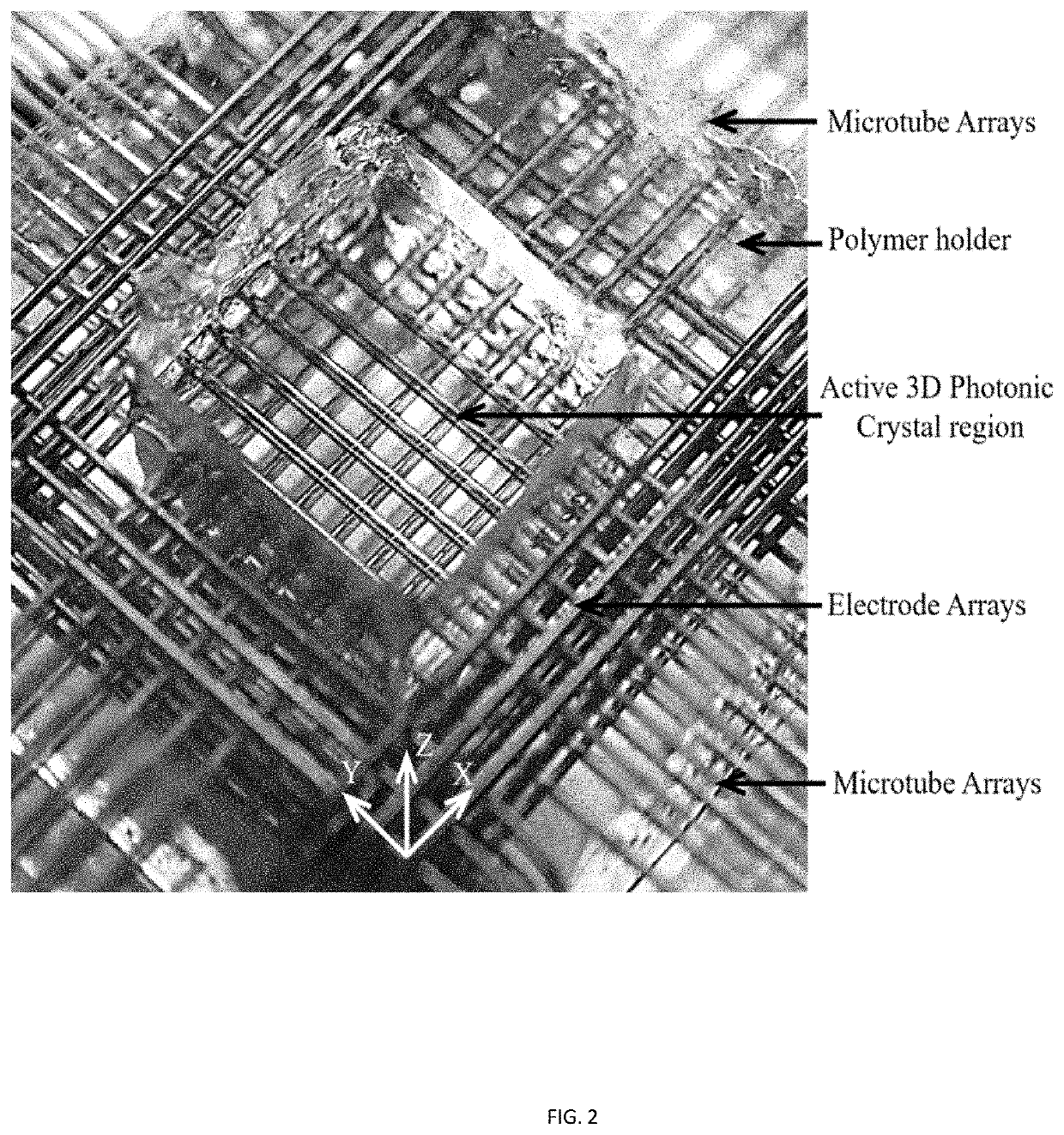 Plasma photonic crystals with integrated plasmonic arrays in a microtubular frame