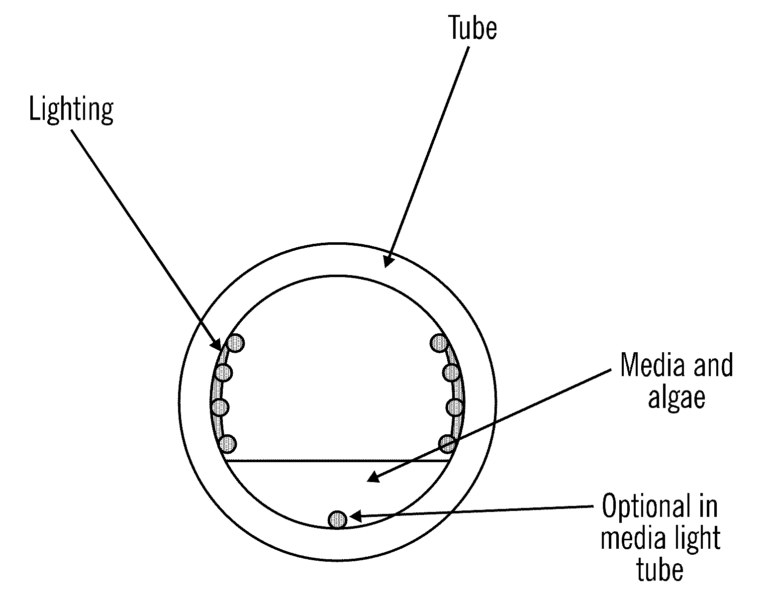 Semi-closed loop alga-diesel fuel photobioreactor using waste water