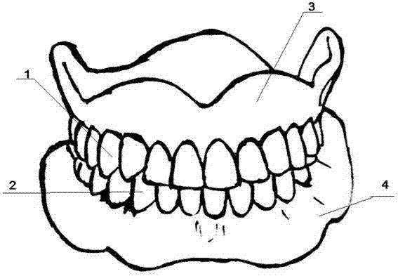 Complete dentition full denture finished product resin tooth and preparation method thereof