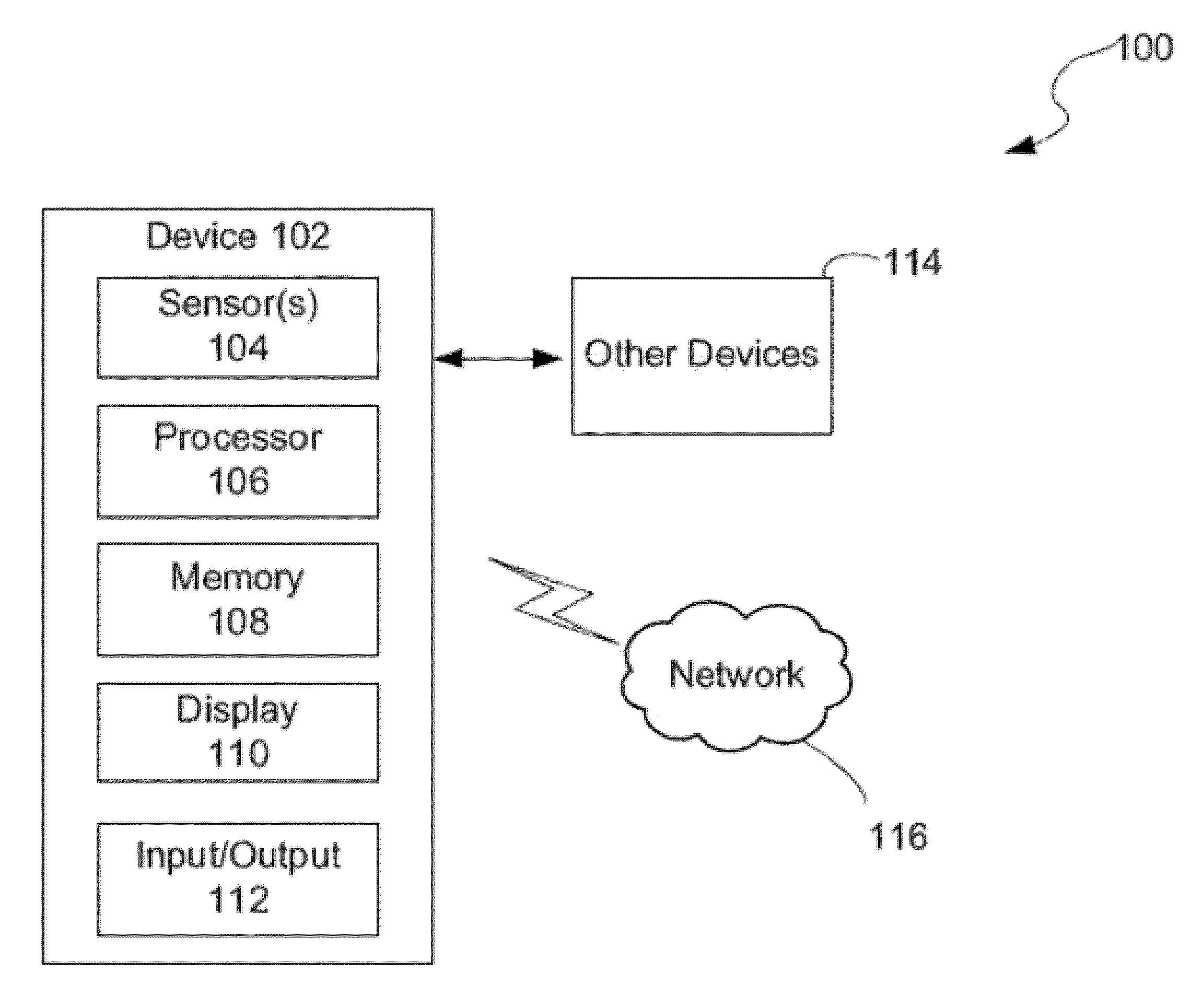 Biometric Identification Systems and Methods