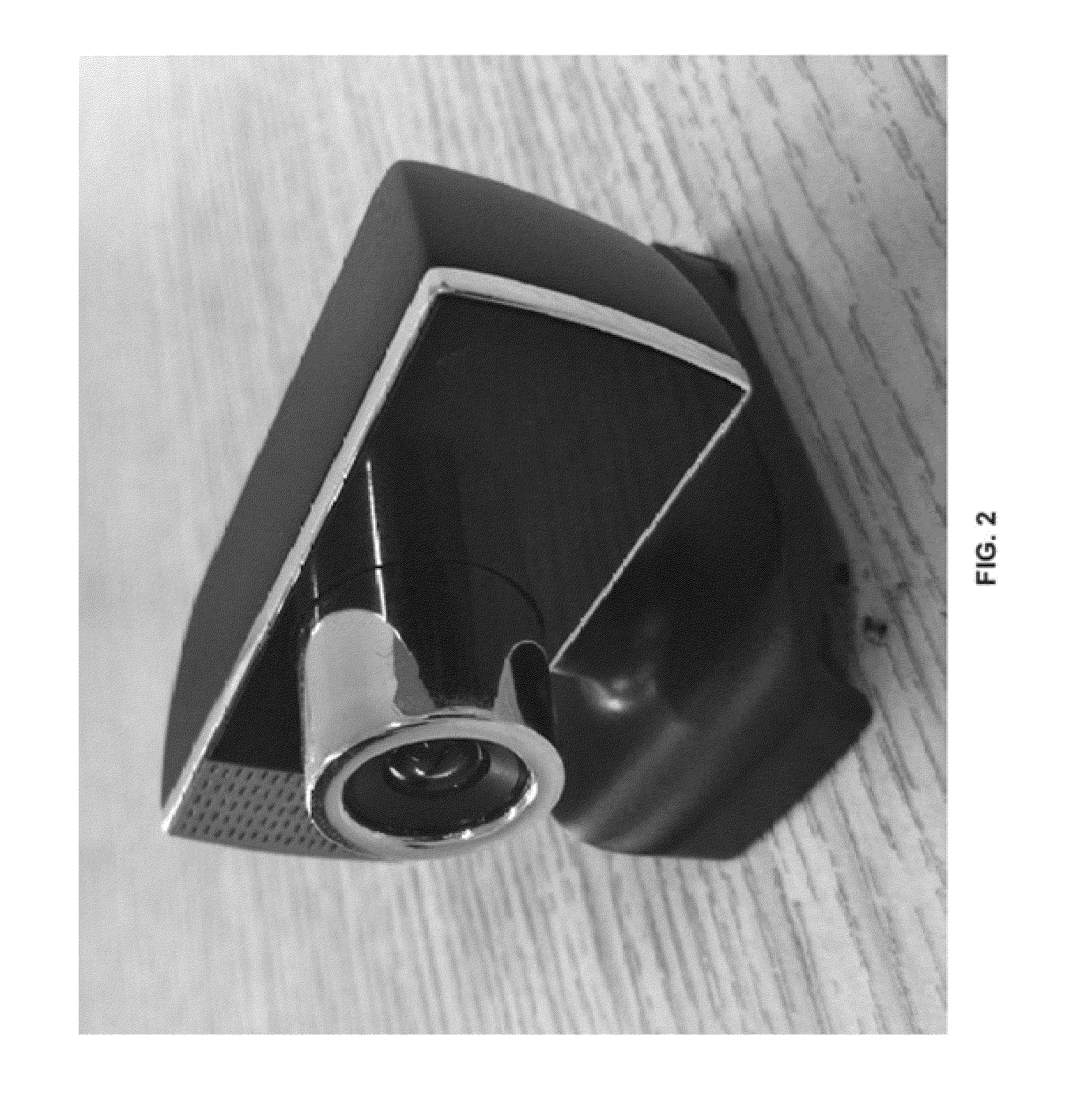 Biometric Identification Systems and Methods