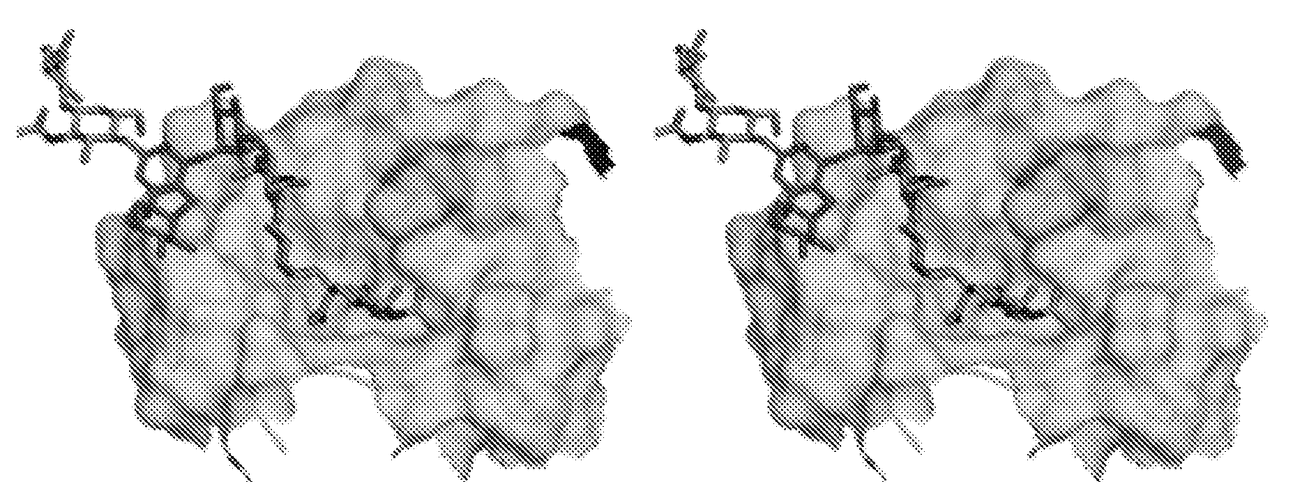 Hemagglutinin polypeptides, and reagents and methods relating thereto