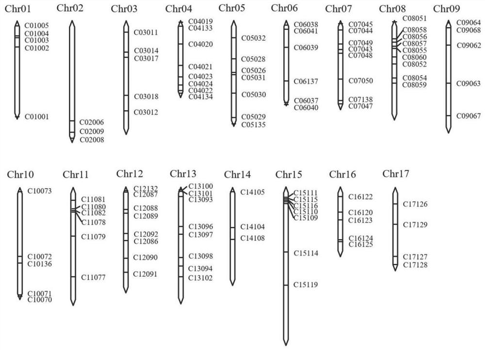 Malus plant whole genome InDel marker genotype database and application thereof to germplasm resource specificity identification