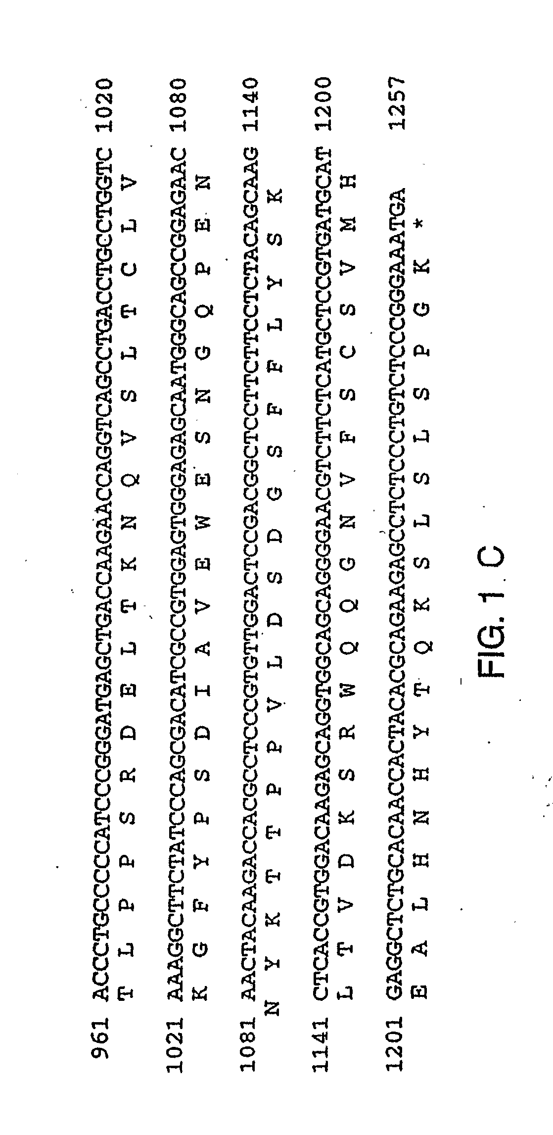 Therapies for Chronic Inflammatory Demyelinating Polyneuropathy Using Interferon-Beta