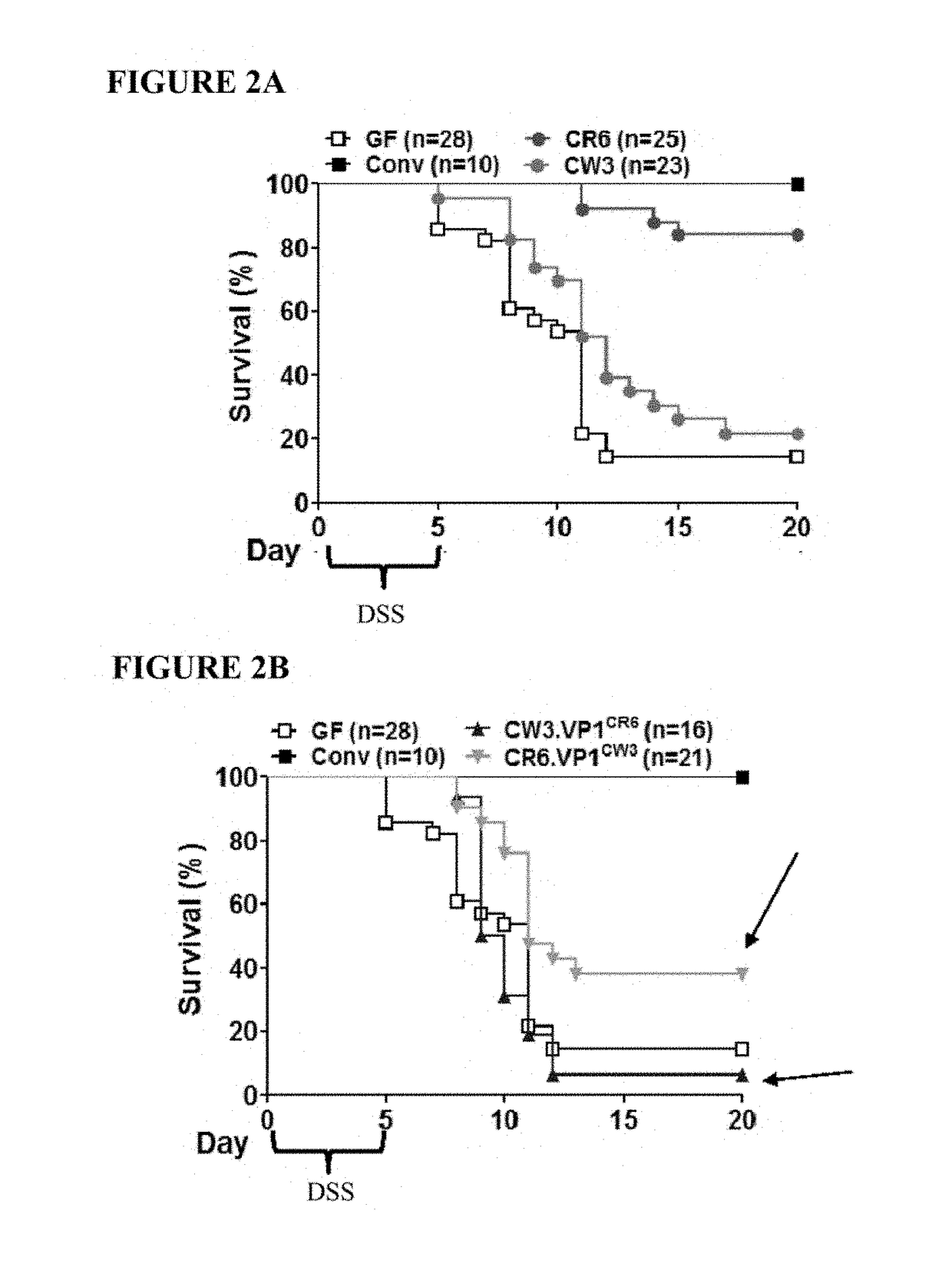 Methods and compositions for treating dysbiosis and gastrointestinal and inflammatory disorders