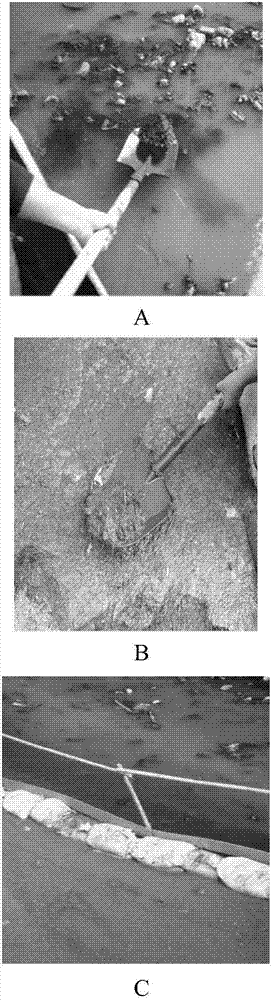 Sediment modifier as well as preparation method and application thereof